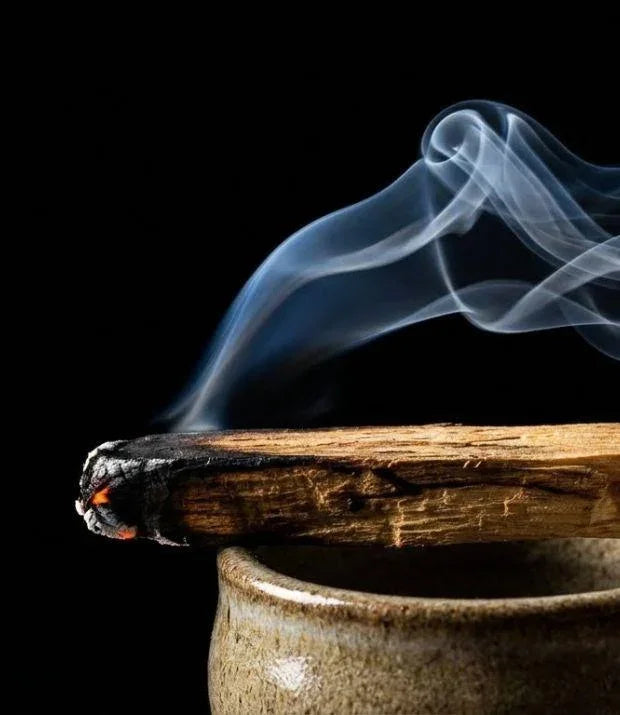 Incenso Palo Santo | Bendito Seja